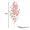 Uniquewise Preserved Real Floral Stems Chic Vase Fillers & Accents for Bouquets Centerpieces & Ornamental Displays Ideal for Home Office Boutique Cafe Resto Bar and Event Decor